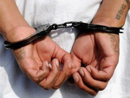 LOS ANGELES, CA - APRIL 29: Handcuffs are seen on the hands of a twenty-year old 'Street Villains' gang member who was arrested by Los Angeles Police Department officers from the 77th Street division on April 29, 2012 in Los Angeles, California. The 77th Street division patrol the same neighborhood …
