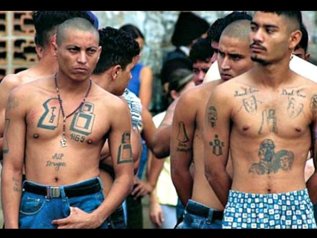 Central American Gang Members AP