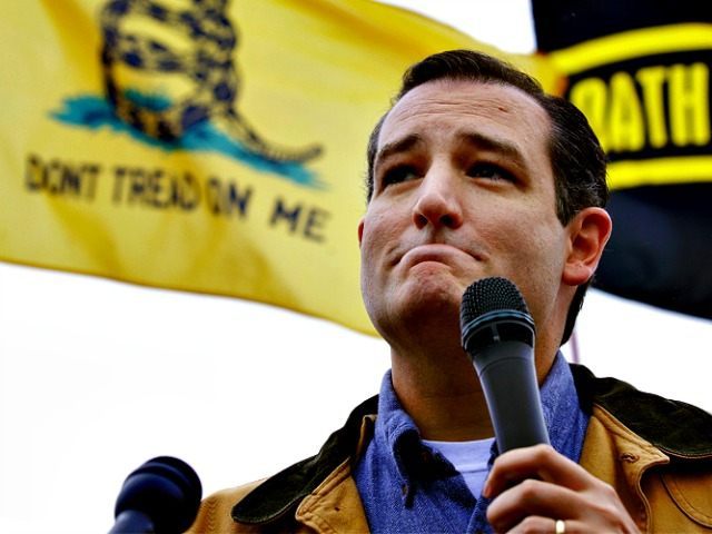 Tea Party Sen. Ted Cruz, R-Texas, speaks at a rally at the World War II Memorial in Washin