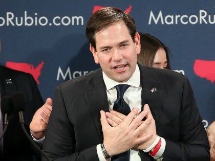 <> on February 20, 2016 in Columbia, South Carolina.