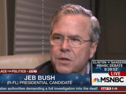 Jeb24