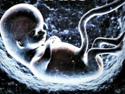 Newsweek Cover Foetus