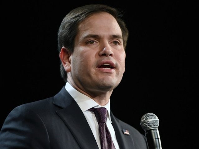 Republican presidential candidate Sen. Marco Rubio (R-FL) speaks at a rally at the Texas S
