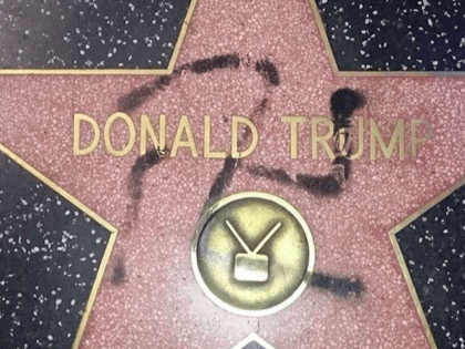 Donald Trump Walk of Fame swastika (Reddit)