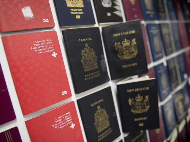 Fake Passports