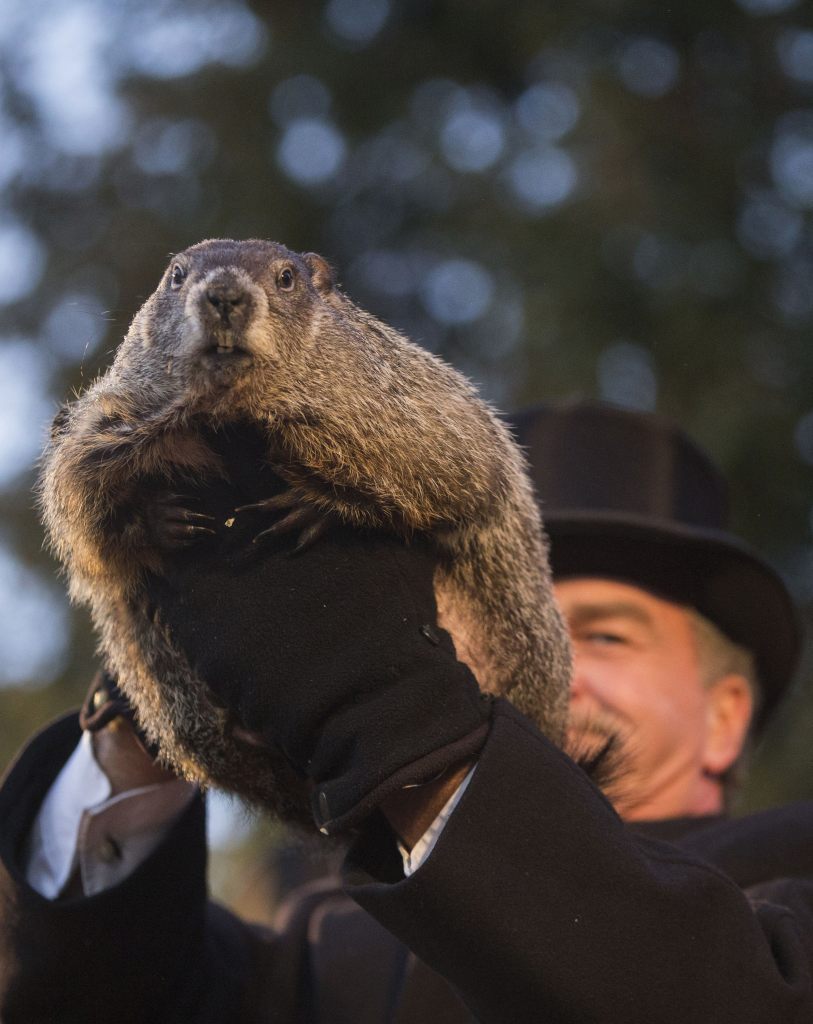 Pennsylvania's Punxsutawney Phil 'predicts' early spring - Breitbart