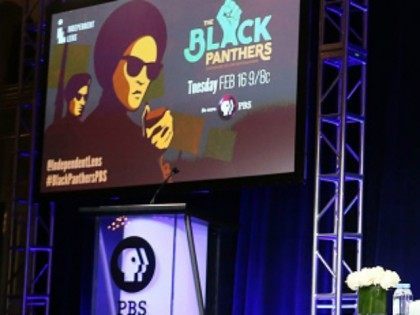 speak onstage during 'The Black Panthers: Vanguard of the Revolution' press conf