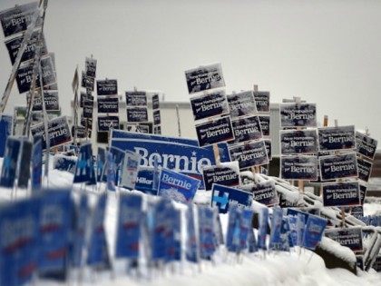 signs of US Democratic presidential candidates Hillary Clinton and Bernie Sanders in Manchester, New Hampshire, on February 5, 2016.
