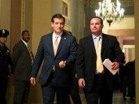 Sen. Ted Cruz (R-TX) and Sen. Mike Lee (R-UT) walk together after a Senate joint caucus meeting, on Capitol Hill, July 15, 2013 in Washington, DC.