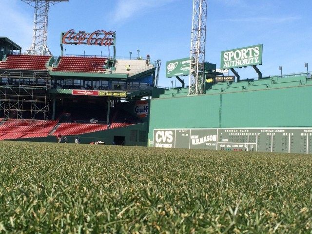 Fenway Outfield Grass
