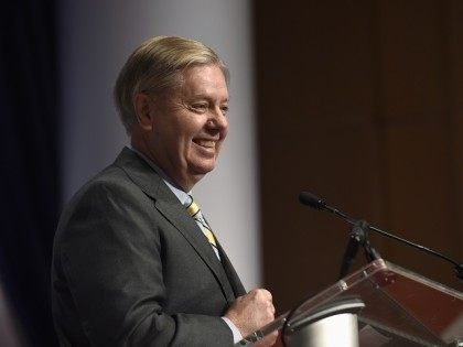 Republican presidential candidate Sen. Lindsey Graham, R-S.C., speaks at the Republican Jewish Coalition Presidential Forum in Washington, Thursday, Dec. 3, 2015. (AP Photo/Susan Walsh)