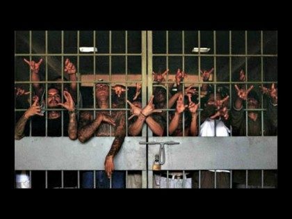 M13 Gang Members in Cell AP