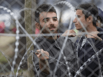 Migrant Background Checks