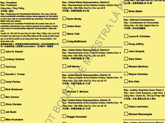 Sample ballot TXGOP 2016