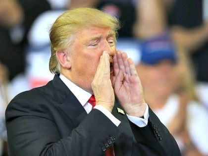 <> on March 5, 2016 in Orlando, Florida.