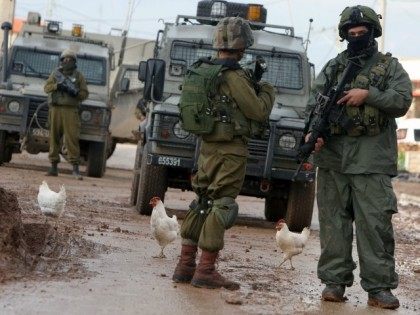 Chickens walk next to Israeli soldiers during clashes with Palestinian protestors in the village of Qabatiya, near the West Bank town of Jenin on February 22, 2016