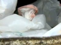 dumpster baby dumpster baby