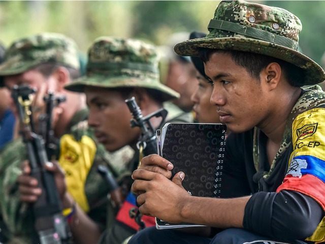 COLOMBIA, - : TO GO WITH AFP STORY by Hector Velasco Revolutionary Armed Forces of Colombia (FARC) guerrillas listen during a "class" on the peace process between the Colombian government and their force, at a camp in the Colombian mountains on February 18, 2016. They still wear green combat fatigues …