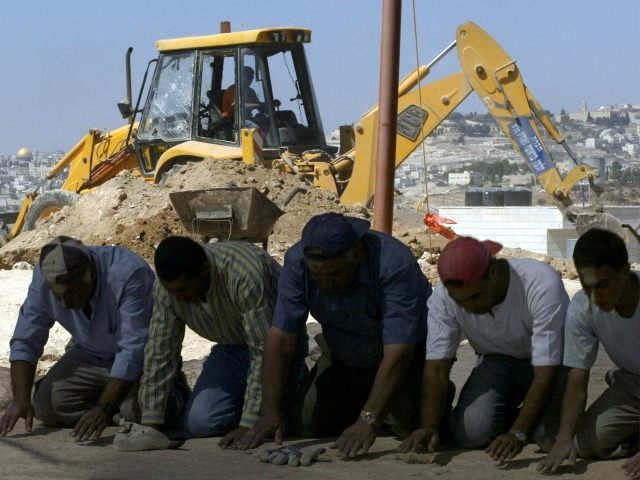 Palestinian employees of the Israeli Antiquities Authority kneel during their midday Mosle