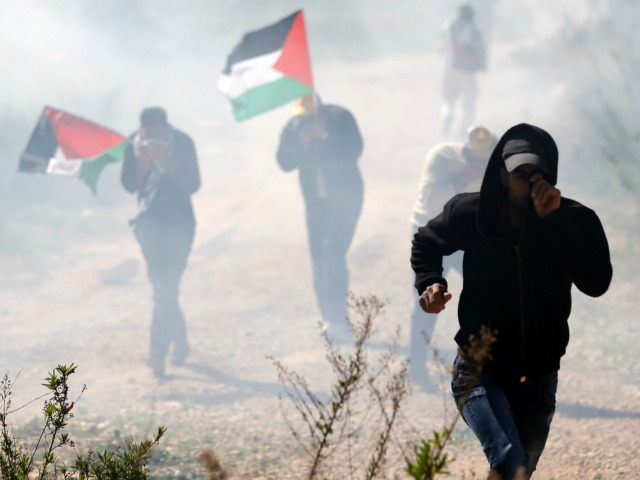 Palestinian protesters, some holding national flags, run away from tear gas smoke during c