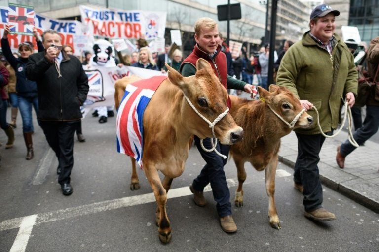 British dairy farmers hold protest march in London Breitbart