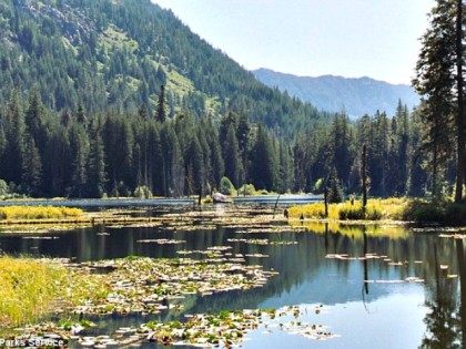 Coon Lake, Howard Lake Natl Parks Services