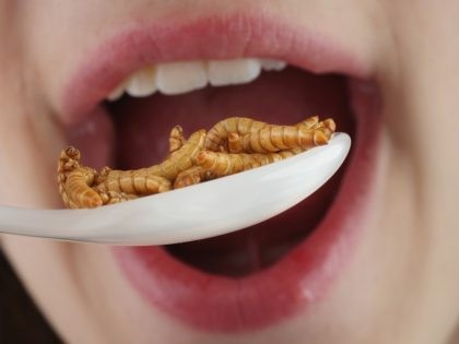 Eating Insects