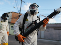 GettyImages-507329988 zika