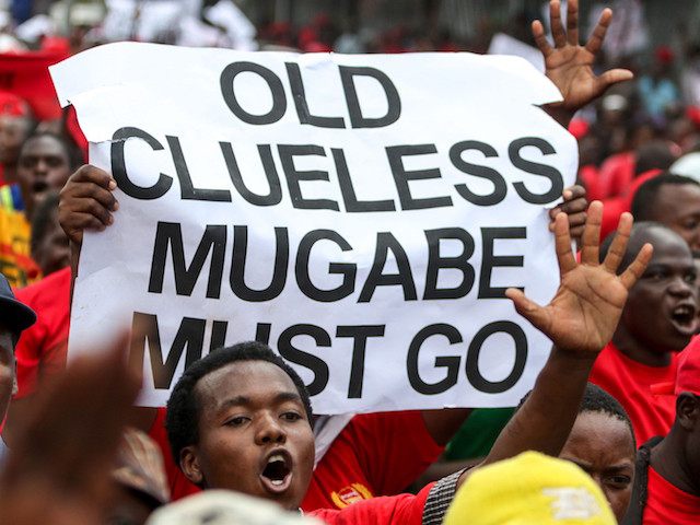Movement for Democratic Change (MDC) youth supporters hold up a sign during a demonstratio