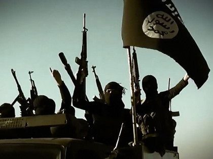 Islamic State jihadis