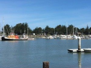 Old Town Harbor Eureka (Daniel Nussbaum / Breitbart News)