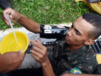 BRAZIL, Brasília : A member of the Brazilian armed forces looks for larvae of the Aedes a