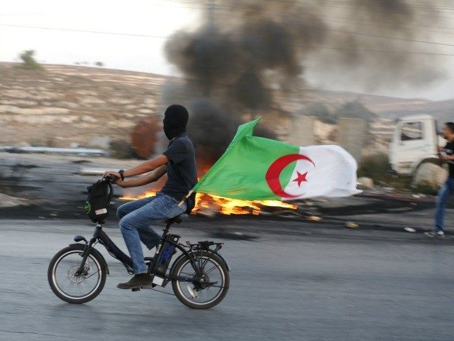 A Palestinian youth carries an Algerian flag as he rides a bicycle during clashes between