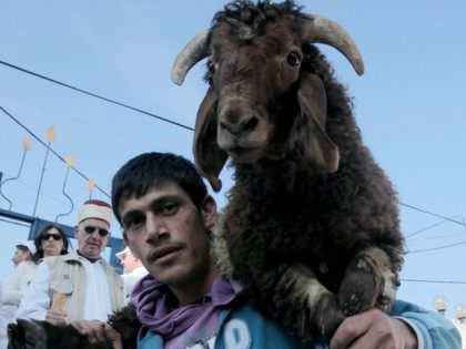 A Samaritan carys a goat slaughter during the traditional Passover sacrifice ceremony at Mount Gerizim near the northern West Bank city of Nablus on April 23, 2013.