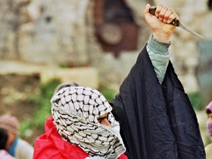A Palestinian youth shown in a file photo dated 21 February 1988 with a Palestinian flag w
