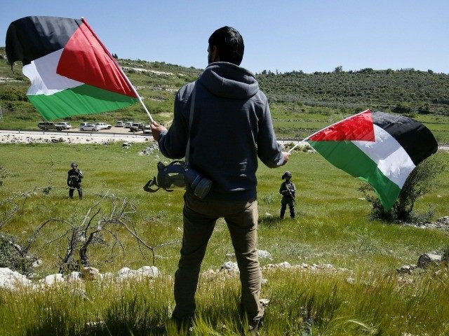 A Palestinian protester holds national flags in front of Israeli security forces during clashes following a march against Palestinian land confiscation on April 1, 2016 in the West Bank village of Nabi Saleh near Ramallah