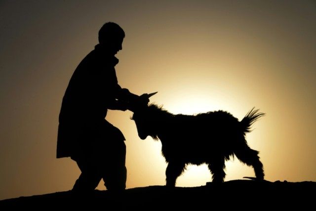 An Afghan man leads a goat ahead of the sacrificial Eid al-Adha festival on October 2, 201