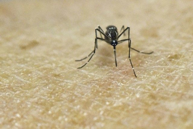 The CDC said there is no longer any doubt that Zika can cause birth defects, making it the