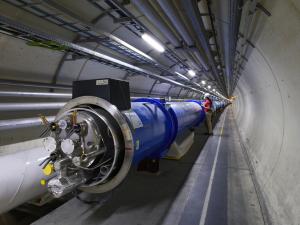 Weasel chews power cable, puts LHC experiments on hold