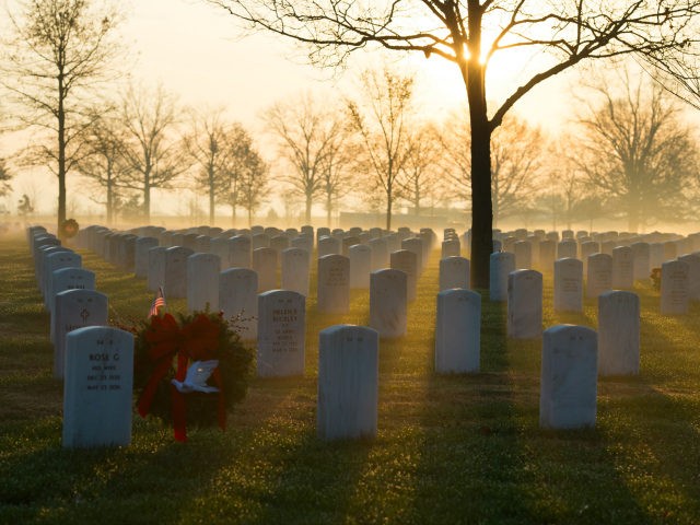 Early morning sun cuts through fog before the start of the 2015 National Wreaths Across Am
