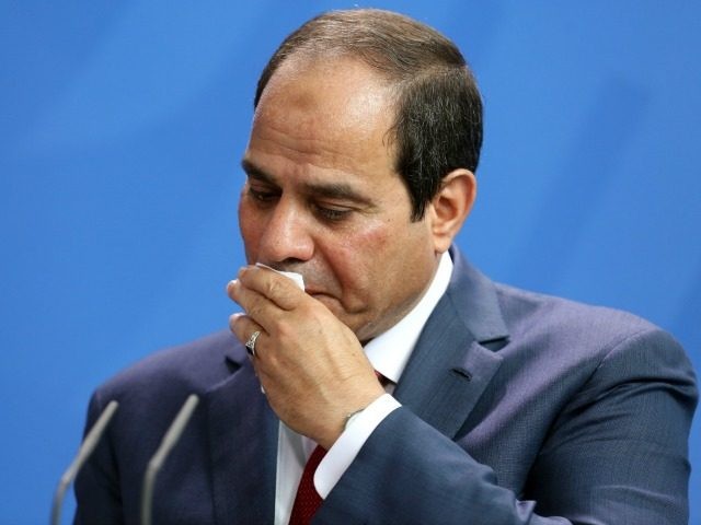 Egyptian President Abdel Fattah el-Sisi speaks during a news conference with German Chance