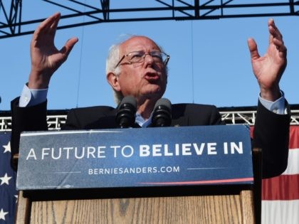Bernie Sanders (Mark Ralston / AFP / Getty)