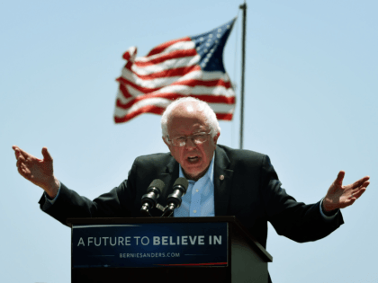 Bernie Sanders flag (Mark Ralston / AFP / Getty)