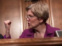 Elizabeth Warren (Alex Wong / Getty)