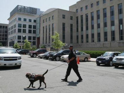 : A Federal Facilities Protection Service K9 and handler inspect the vehicles parked outsi