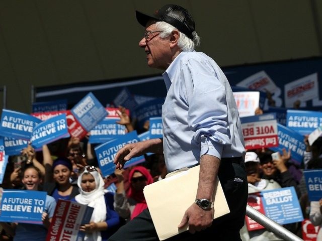 Democratic presidential candidate Sen.Bernie Sanders (D-VT) arrives to speak at a campaign rally on May 10, 2016 in Stockton, California