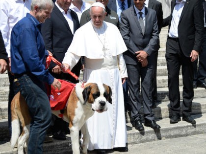 Pope Francis poses with a dog of the Barry Foundation of the Great St Bernard after his weekly general audience at St Peter's square on May 18, 2016 in Vatican. / AFP / Filippo MONTEFORTE (Photo credit should read FILIPPO MONTEFORTE/AFP/Getty Images)