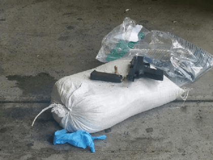 ICE AGENT ALLEGED SUICIDE WEAPON