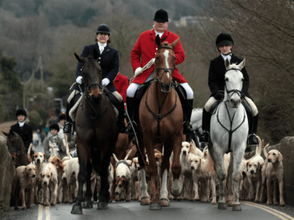 Jonathon Seed, Joint Master and Huntsman with the Avon Vale Hunt, leads the hounds and fellow rider