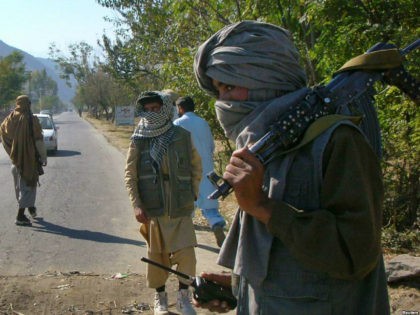 Masked Pakistani pro- Taliban militants who are supporters of Maulana Fazlullah in Pakistan's Swat valley November 2, 2007. REUTERS/SHERIN ZADA KANJU/FILES